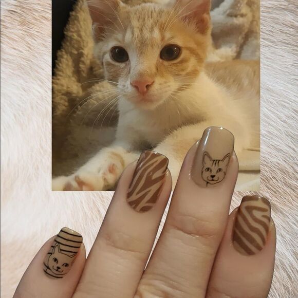 Color Street | All wild up, an animal neutral creme finish - Picture 8 of 8